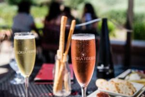 CCTV意甲联赛，经典歌曲全集解析央视意甲联赛歌曲大全