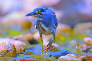 意甲联赛哪队厉害?五大强队实力解析意甲联赛哪队厉害