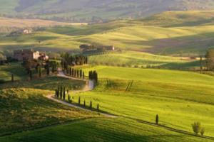 意甲联赛焦点战,桑普 vs 国际米兰意甲联赛桑普比赛